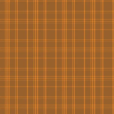 Cozy Fall: Autumn Vibes
