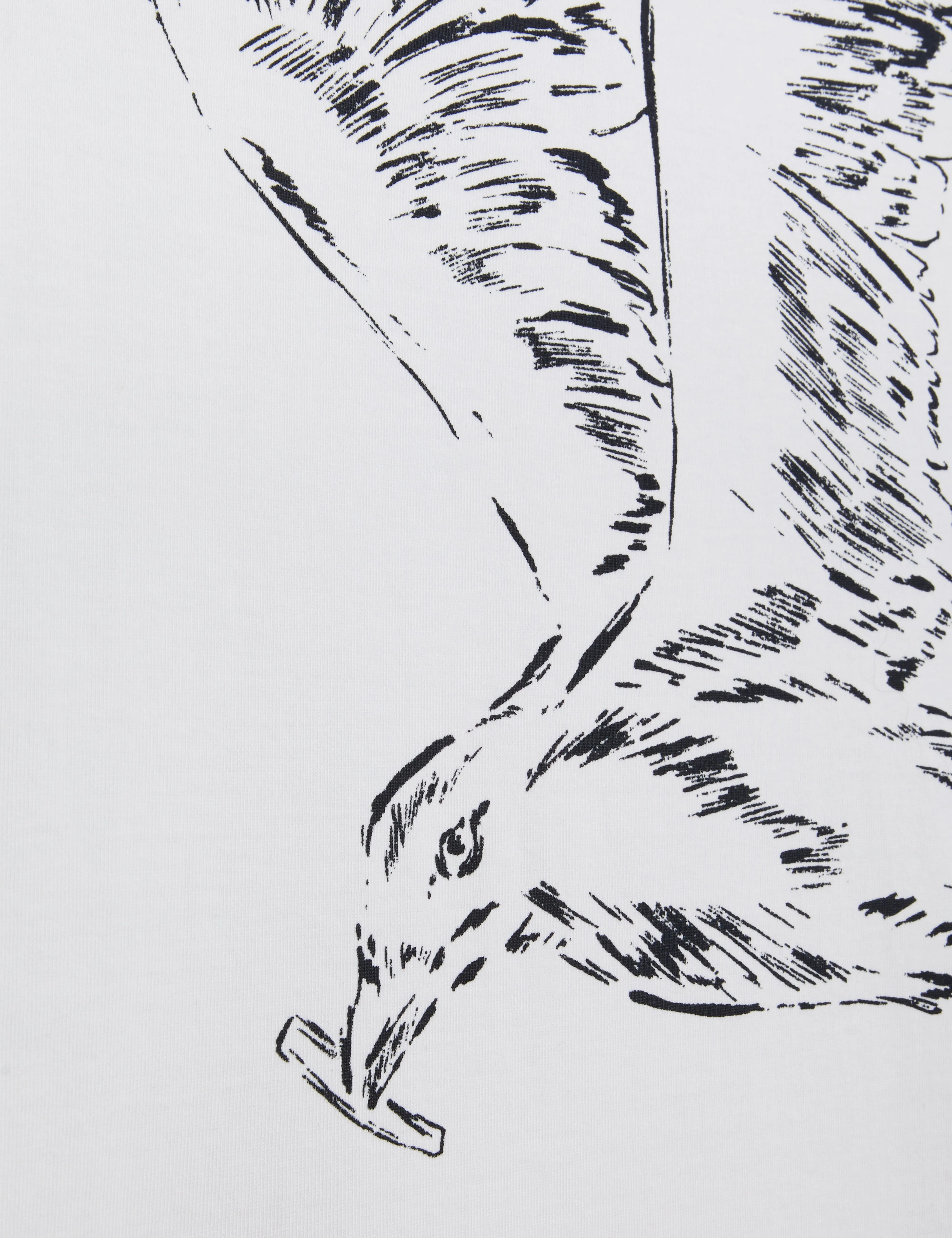 Jamesio Short Sleeve Graphic Seagull T-Shirt White