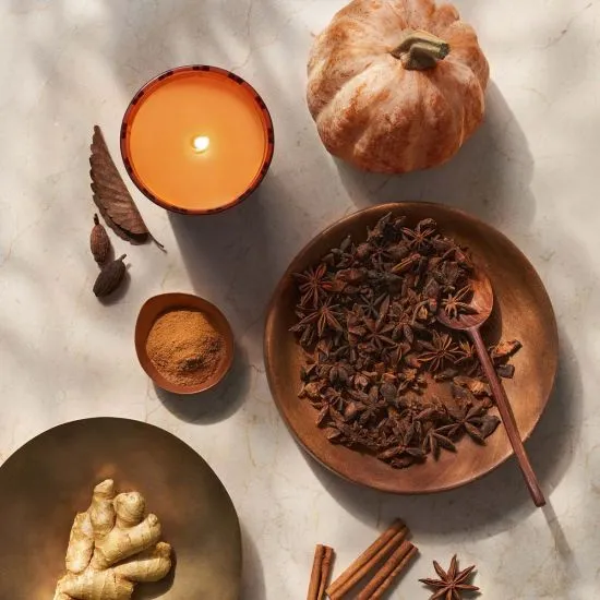 Pumpkin Chai 8.1oz. Classic Candle by Nest New York