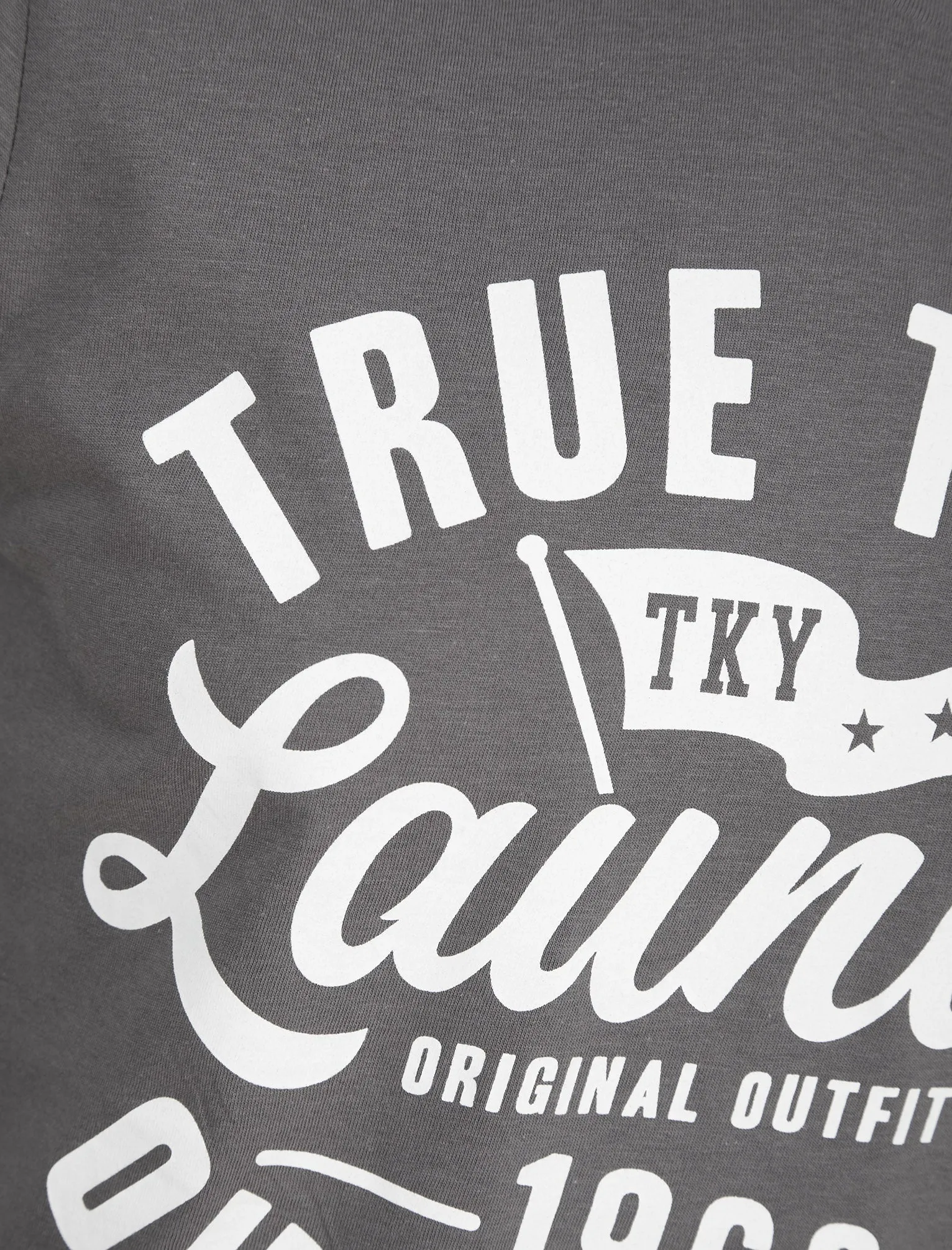 Revo Motif Cotton Jersey Long Sleeve Top in Eiffel Tower Grey - Tokyo Laundry