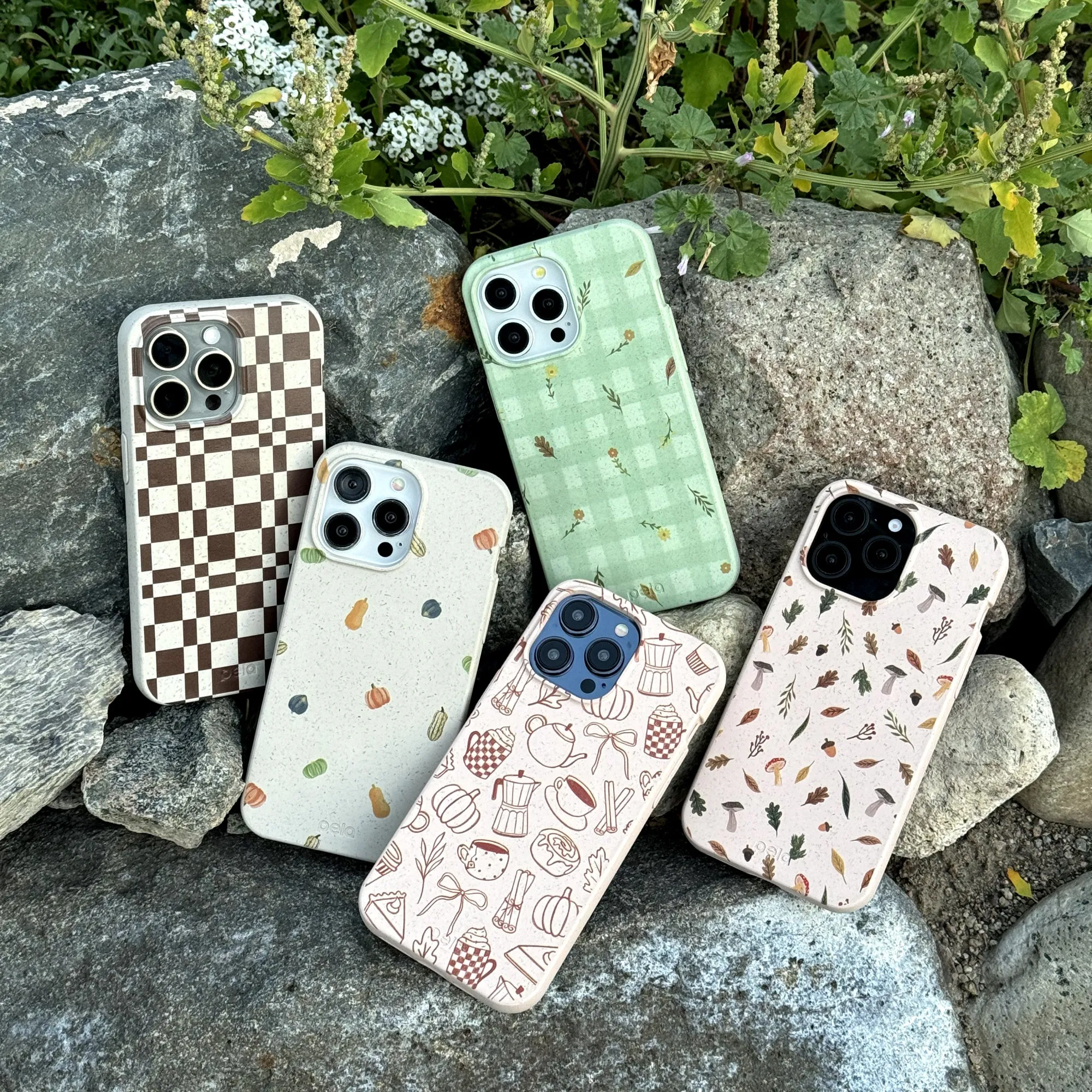 Seashell Pumpkin Spice iPhone 12/ iPhone 12 Pro Case